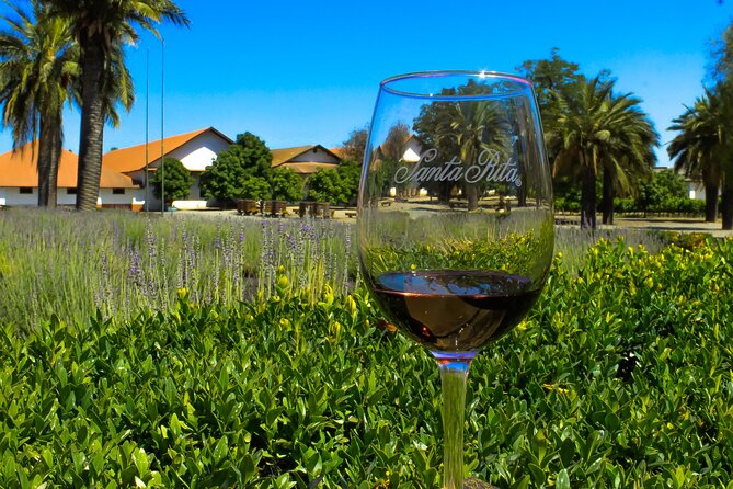 Half Day Santa Rita Vineyard Tour - Key highlights at a glance