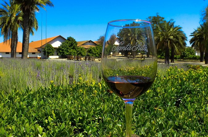 Half Day Santa Rita Vineyard Tour - Wine buying without buyer’s remorse: how this tour sets you up