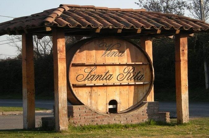 Half Day Santa Rita Vineyard Tour - The English experience and small-group feel