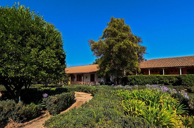 Half Day Santa Rita Vineyard Tour - What you are not getting: lunch, and how to plan around it