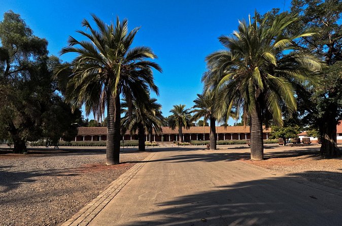 Half Day Santa Rita Vineyard Tour - Price and value: what $75 gets you here