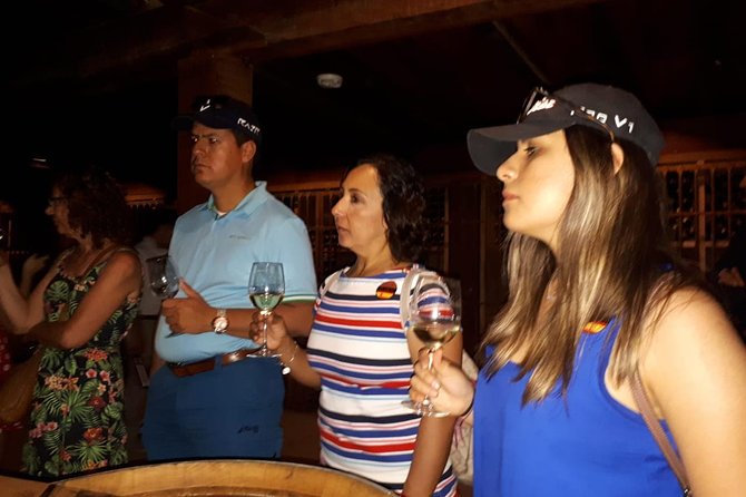 Half-Day Small-Group Santa Rita Vineyard Tour - Three wine tastings: how to get more out of the flight