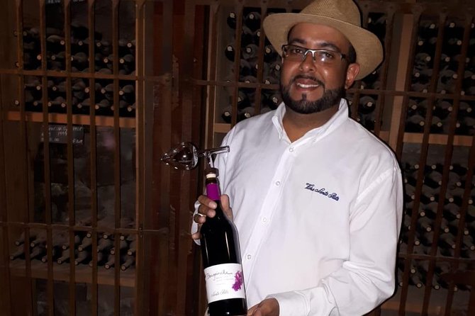 Half-Day Small-Group Santa Rita Vineyard Tour - Small-group size: why it can feel personal, when it may feel rushed