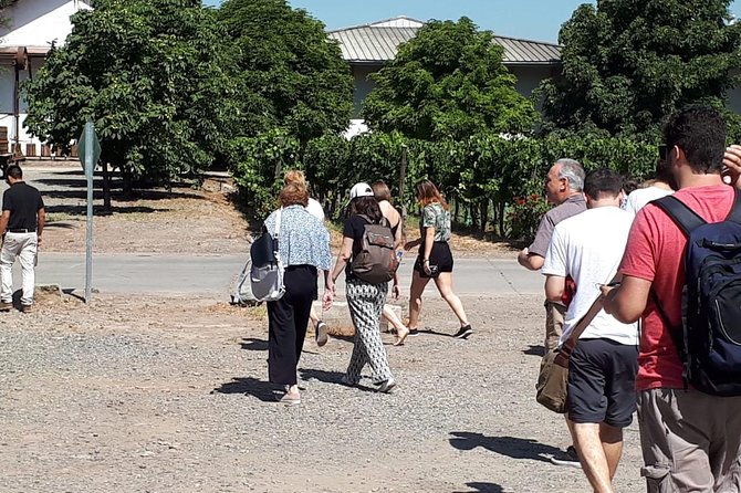 Half-Day Small-Group Santa Rita Vineyard Tour - Santa Rita Winery and the 120 Patriots story