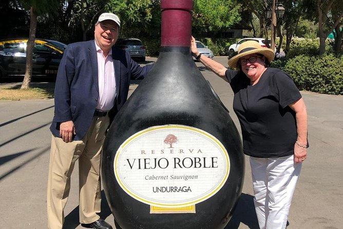 Half-Day Small Group Undurraga Vineyard Tour - Winetasting Included - Getting picked up in Santiago: van size, timing, and safety realities