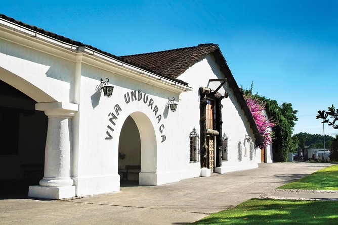 Half-Day Small Group Undurraga Vineyard Tour - Winetasting Included - Language, guide styles, and why names matter for your expectations
