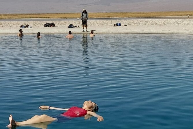 Half-Day Tour to Laguna Cejar - Half-day pace, small-group size, and how the timing feels