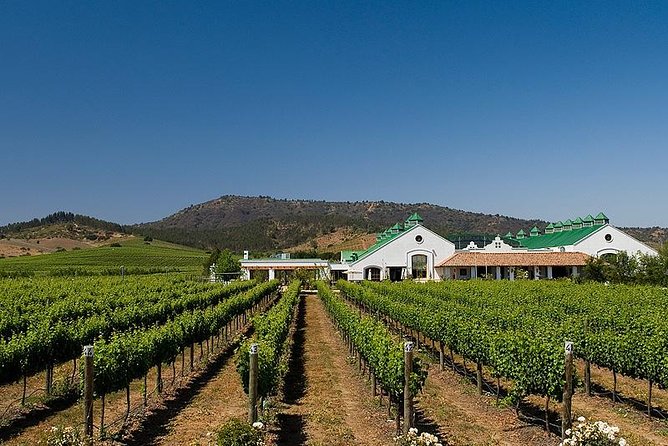 Half Day Trip to Casas del Bosque Vineyard from Santiago - Wine Tasting Included - Stop at Tac Turismo, then straight into the winery story