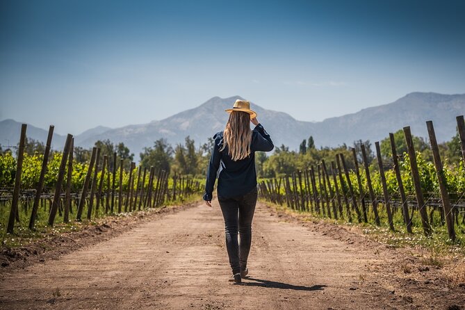 Haras de Pirque Private Vineyard Tour and Wine Tastings - Organic viticulture at Maipo-Andes: what you actually learn