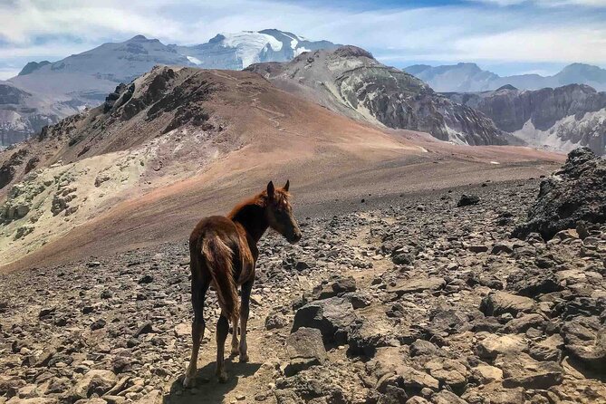 High Mountain Adventure: Full Day Private Tour from Santiago - Timing, Pace, and Custom Hikes (5 to 8 Hours)