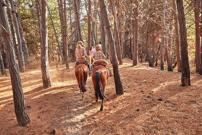 Hiking Mauco Hill & HorseRide-Ritoque Beach&Dunes From VALPARAISO - Key highlights to plan around