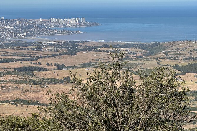 Hiking Mauco Hill & HorseRide-Ritoque Beach&Dunes From VALPARAISO - Food and energy: snacks that keep your day from sagging