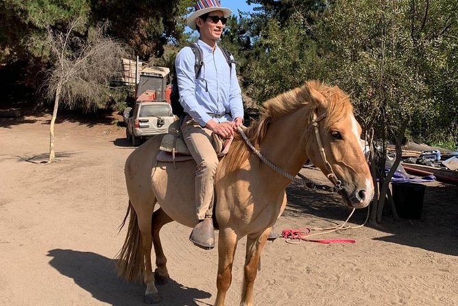 Hiking Mauco Hill & HorseRide-Ritoque Beach&Dunes From VALPARAISO - Gear and comfort: what’s included and what you should bring