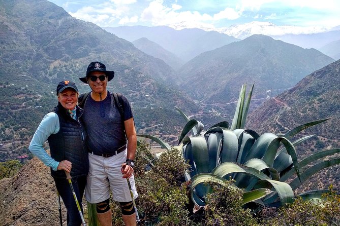 Hiking Tour in the Andes Mountains - Half Day Trip from Santiago - Quick hits before you go