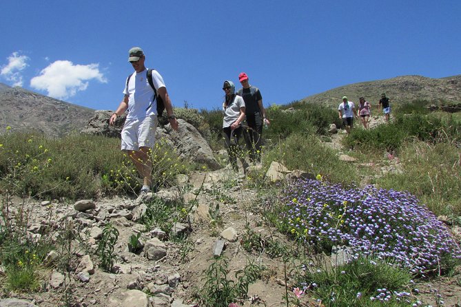 Hiking Tour in the Andes Mountains - Half Day Trip from Santiago - The water crossing and why those wet spots can be worth it