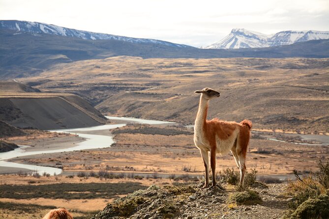 Hikking Porteria Lago Sarmiento - Entering through the Lago Sarmiento gate: gentle start, big water, predator territory