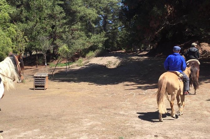 Horse Ride & BBQ in Ritoque Beach&Dunes FROM VALPO. Private Tour - Key points to know before you go