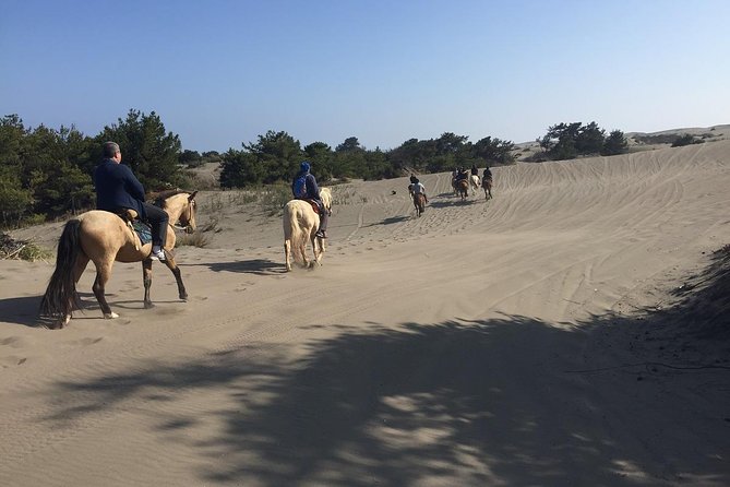 Horse Ride & BBQ in Ritoque Beach&Dunes FROM VALPO. Private Tour - From Valparaíso to Ritoque on a private schedule