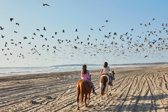 Horse Ride & BBQ in Ritoque Beach&Dunes FROM VALPO. Private Tour - The coast drive and your first nature stop at Humedal de Concón