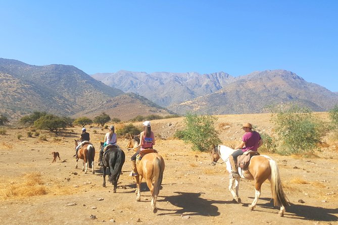 Horse Riding Tour in the Andes Santiago Chile - Key highlights worth your attention