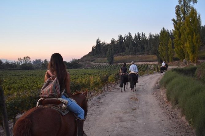 Horseback Private Wine Tour and Country Grill from Santiago - A Full-Day Maipo Valley Horse and Wine Plan from Santiago