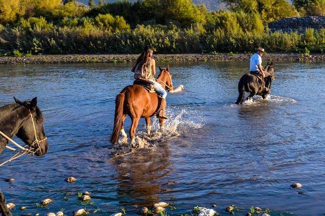 Horseback Private Wine Tour and Country Grill from Santiago - Getting Matched to Your Horse and Building Confidence Fast