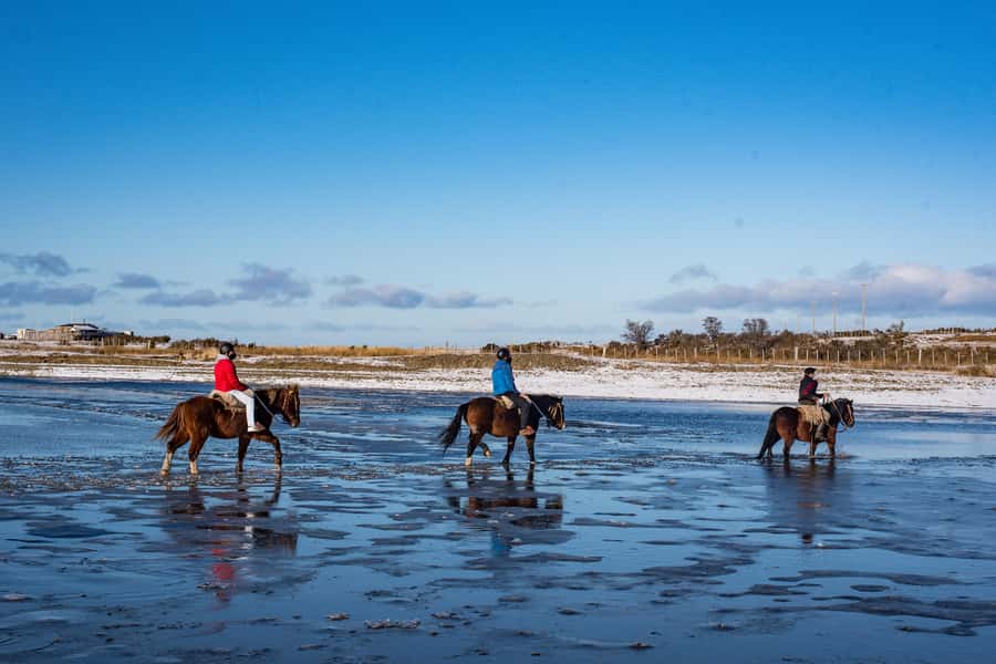 Horseback Riding near Strait of Magellan - What your horseback route looks like (and why the details matter)
