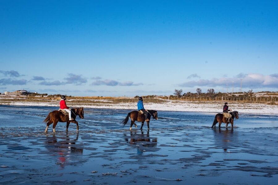 Horseback Riding near Strait of Magellan - Horses, safety, and what the ride feels like