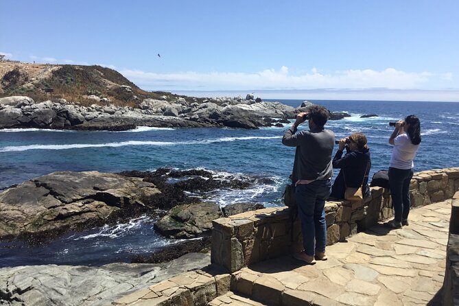 Horseback riding on beach, Winery, Alpacas, penguins & cowboyBBQ - Key highlights in plain terms
