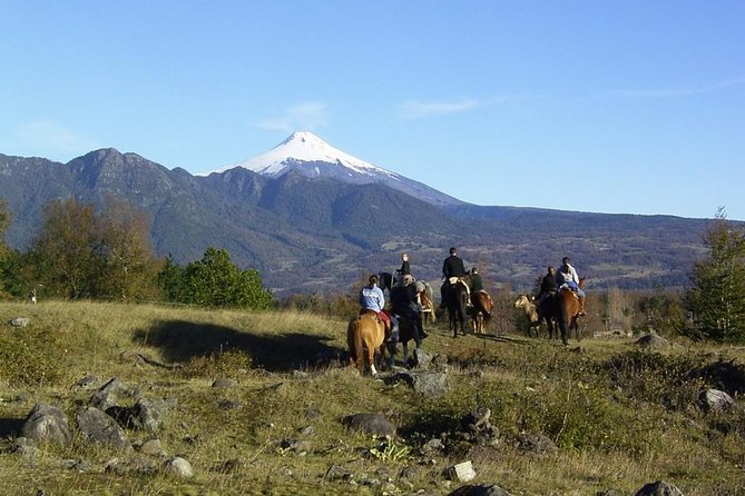 Horseback Trailride Excursion - Key highlights worth knowing before you go
