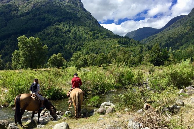 Horseback Trailride Excursion - Volcano views: Villarrica, Quetrupillan, and Lanin