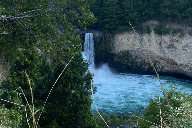 Huilo Huilo Reserve Tour from Valdivia with Lunch - Lago Pirehueico and Puerto Fuy: lake time plus Once snack