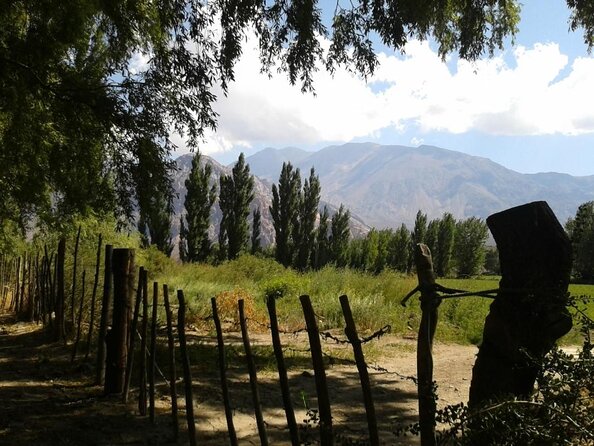 Inca Lagoon in Andes Mountain Range - Visit Local Vineyard with Tasting included - Key Highlights You’ll Feel During the Day