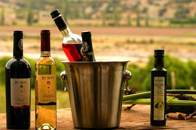 Inca Lagoon in Andes Mountain Range - Visit Local Vineyard with Tasting included - What to Bring (So the Day Feels Easy)