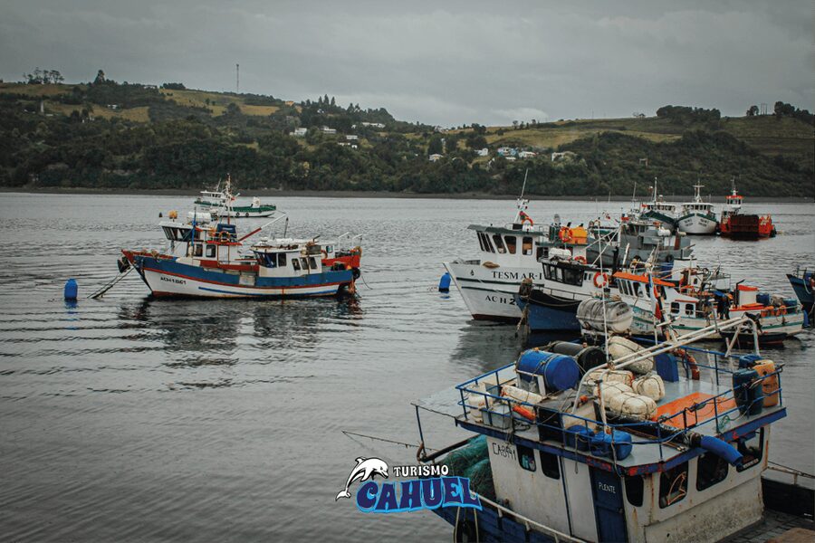 Inner Coast of Chiloé: Road and Sea. - The early town stop near Castro: churches, city views, and orientation