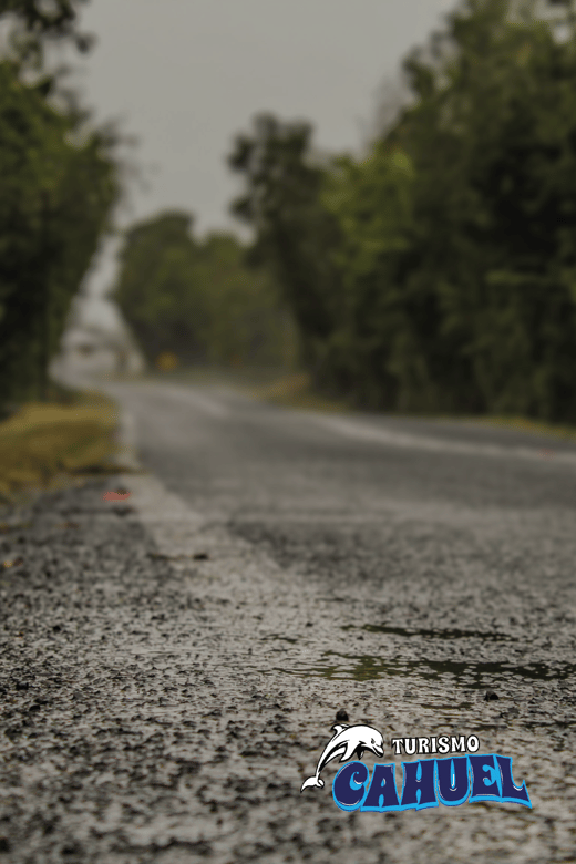 Inner Coast of Chiloé: Road and Sea. - Tocoihue Waterfall: the photo stop with witch-lore storytelling