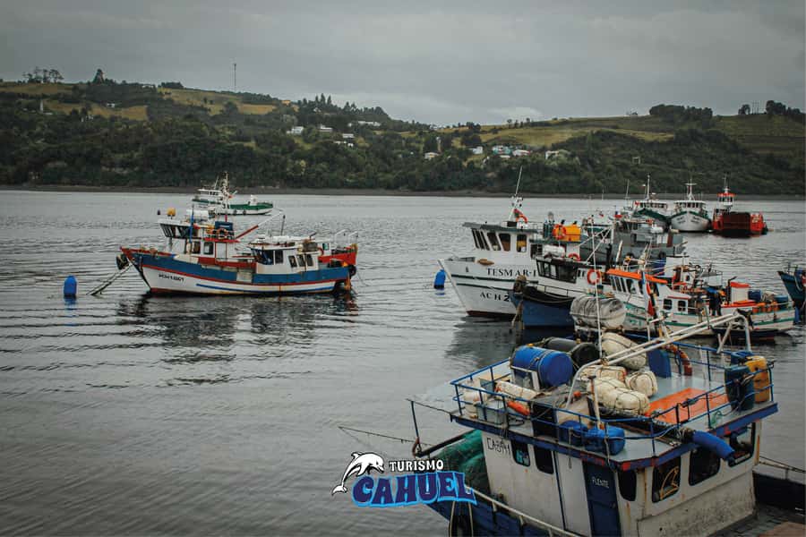 Inner Coast of Chiloé: Road and Sea. - Ferry and lookouts: the included tickets that save you hassle