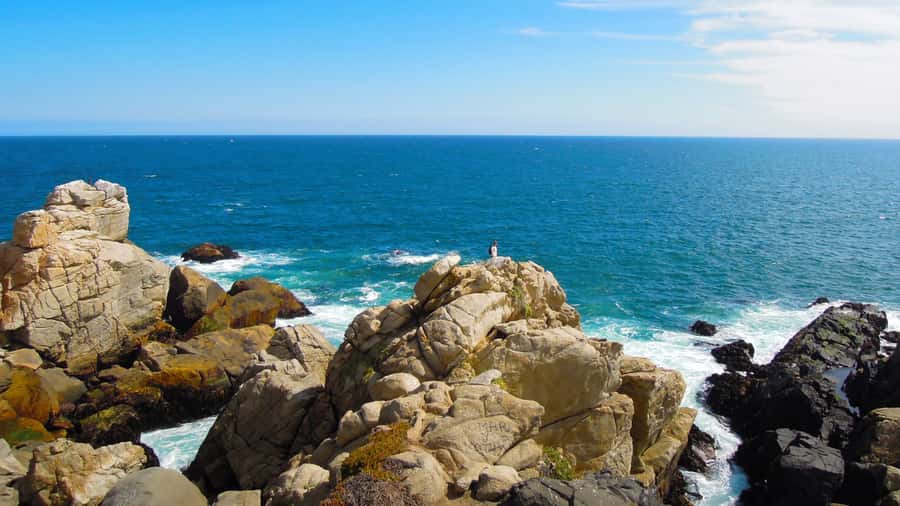 ISLA NEGRA AND ALGARROBO WITH VINICOLA UNDURRAGA - TOUR : CHILE - How the day runs from Santiago to the coast
