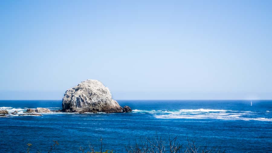 ISLA NEGRA AND ALGARROBO WITH VINICOLA UNDURRAGA - TOUR : CHILE - Who this tour fits best (and who might feel it’s not for them)