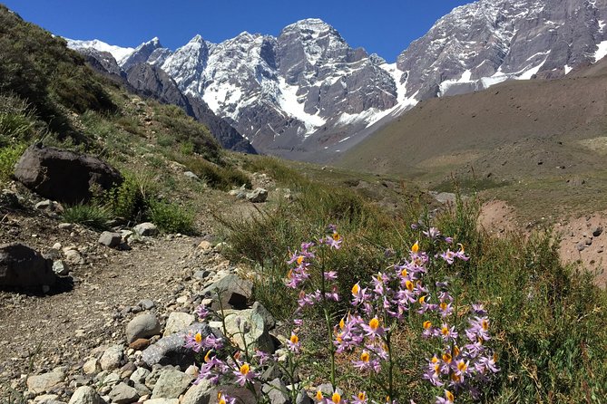 Juncal Andean Park: Hiking over a Glacial Tongue - Over Juncal Glacier: steep moraine, ice body reveal, and photo timing