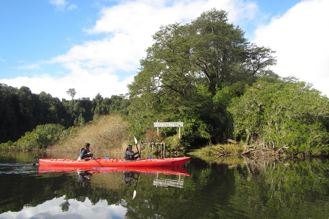 Kayak Laguna La Poza 1/2 day - Key points to know before you go
