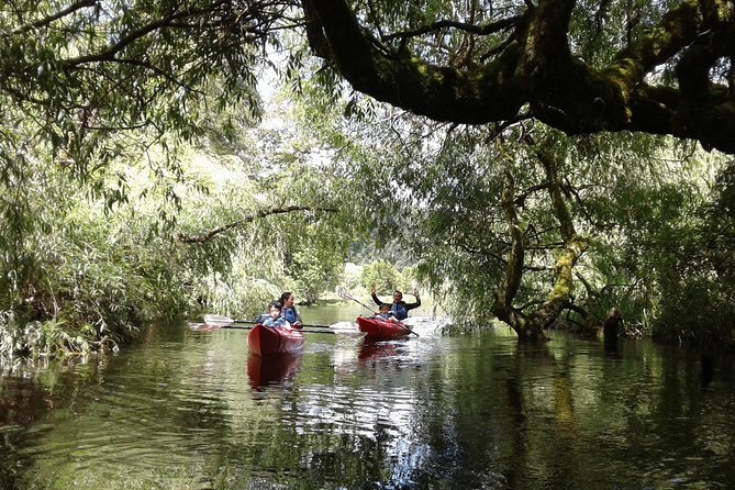 Kayak Laguna La Poza 1/2 day - Price and value: why $65 can be fair for a half-day kayak