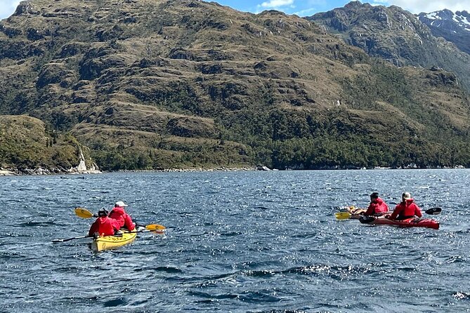 Kayaking with Whales and Wildlife Watching From Punta Arenas - Morning Departure From José Nogueira: The 4:00 am Reality Check