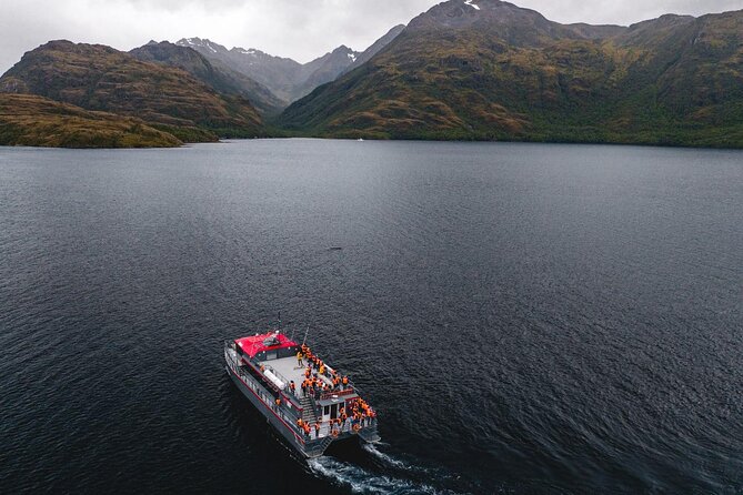 Kayaking with Whales and Wildlife Watching From Punta Arenas - Gear, Meals, and a 13-Hour Day That Actually Feels Managed