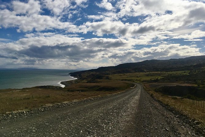 King Penguin Nature Reserve - Tierra del Fuego Island - Parque Pinguino Rey: ranger talks, 15 meters from the beach, and what to look for