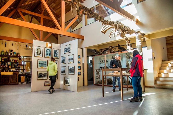 King Penguin & Tierra del Fuego Tour - Key Highlights You Can Actually Use