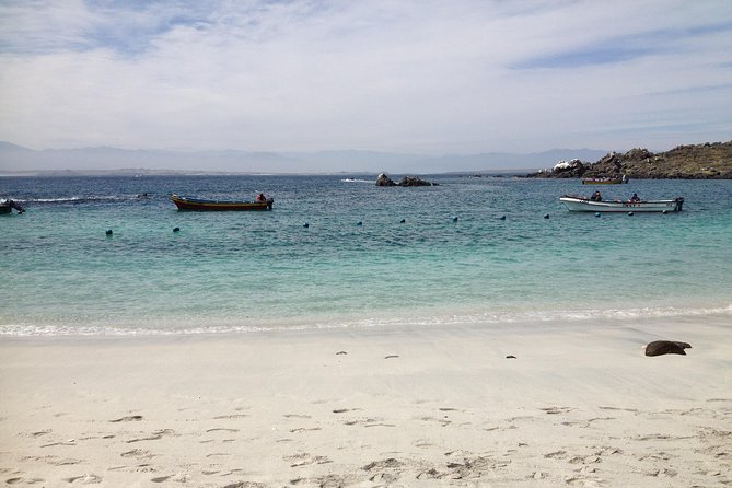 La Serena: Full day to Isla Damas & Humbolt Pinguino National Reserve - Key points