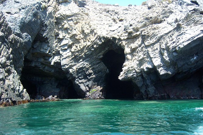 La Serena: Full day to Isla Damas & Humbolt Pinguino National Reserve - Price and value for $150, where the money actually goes
