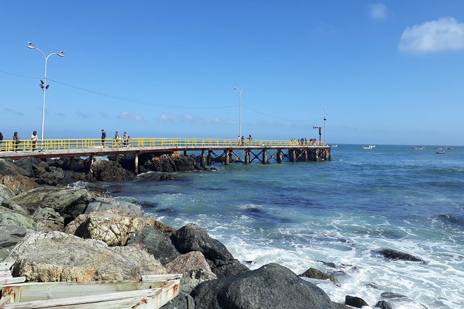 La Serena: Full day to Isla Damas & Humbolt Pinguino National Reserve - Logistics that matter in La Serena and Coquimbo pickup
