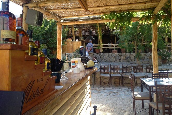 La Serena: Full day Tour to Elqui Valley - Valle del Elqui Stop: Ticket-Free Wonder and the Quick Hit of Myth